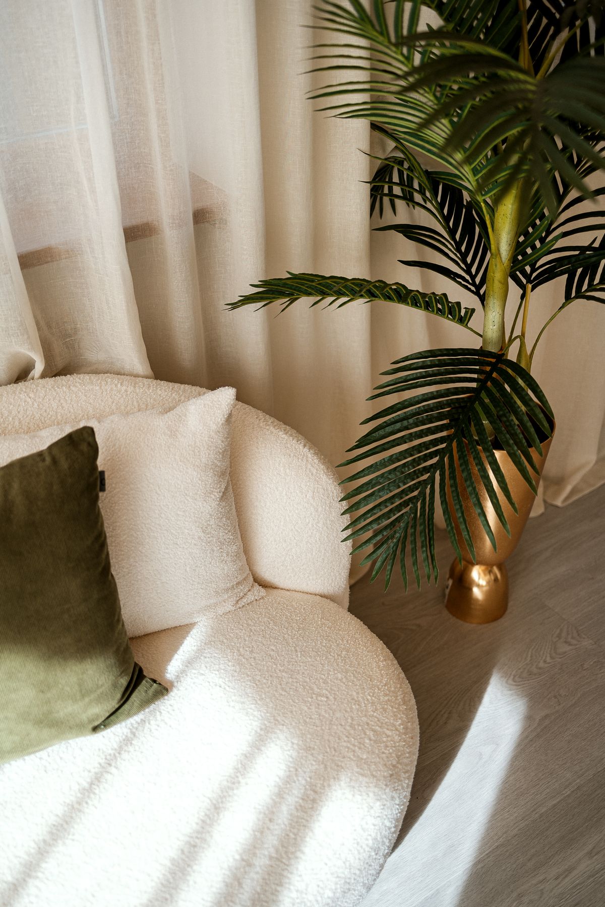 Armchair and palm in backlight