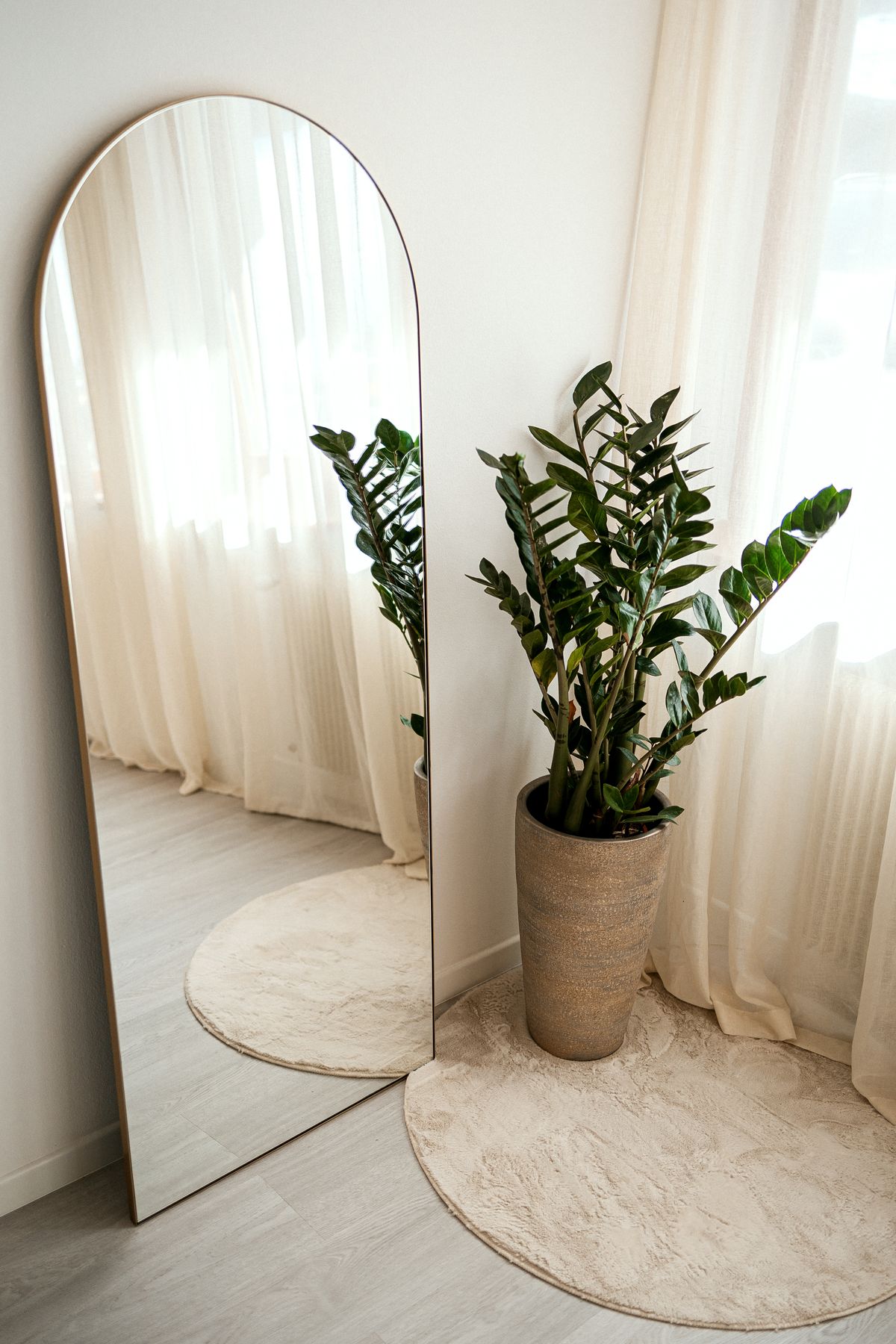 Mirror and plant in the corner