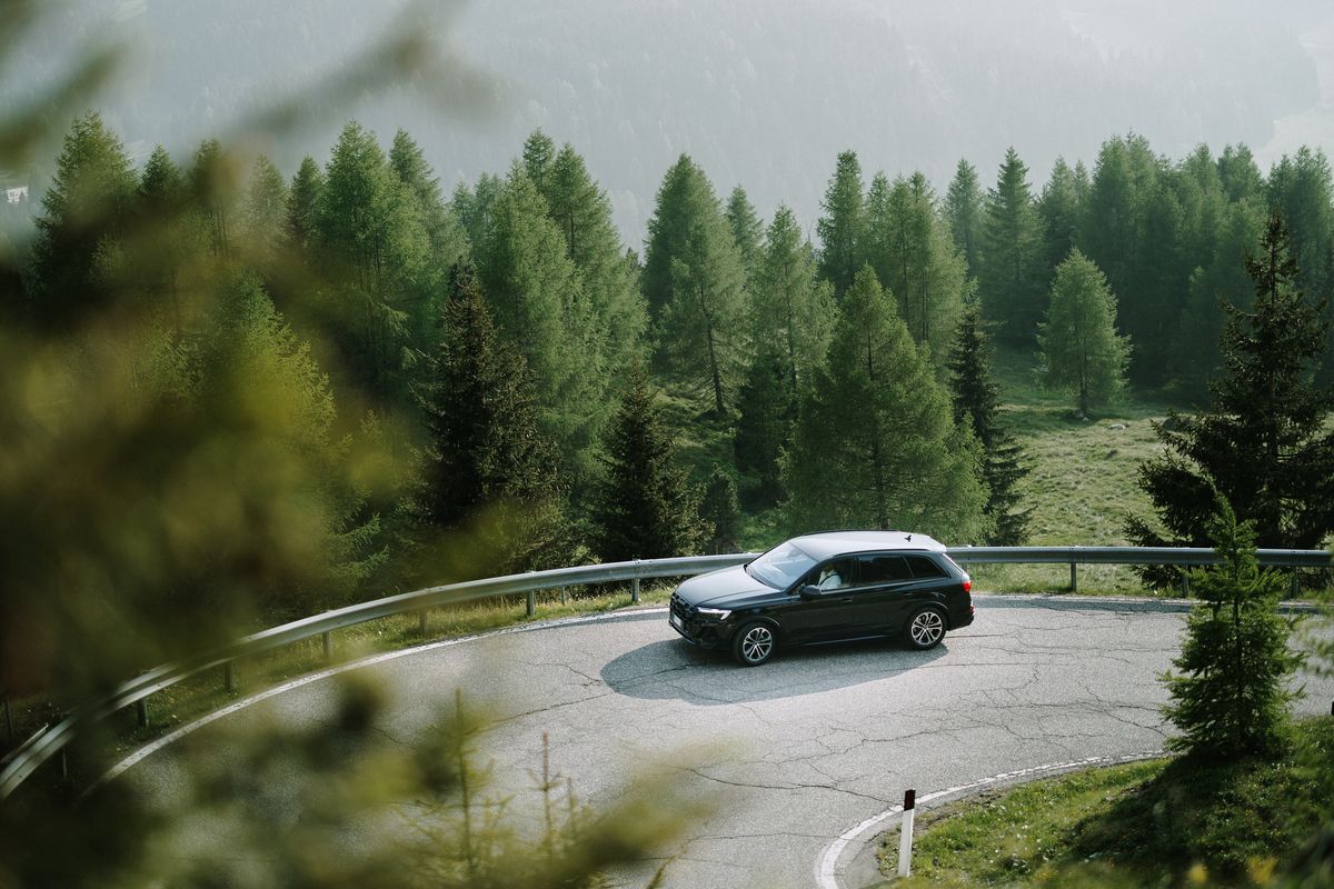 Car rounding a bend between trees