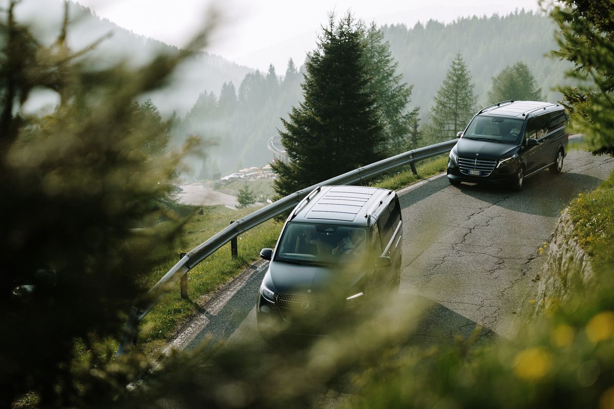 Vehicles between trees from above