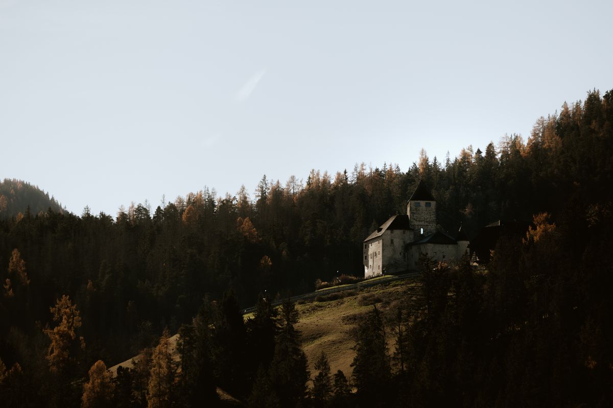 Castle above the autumn forest