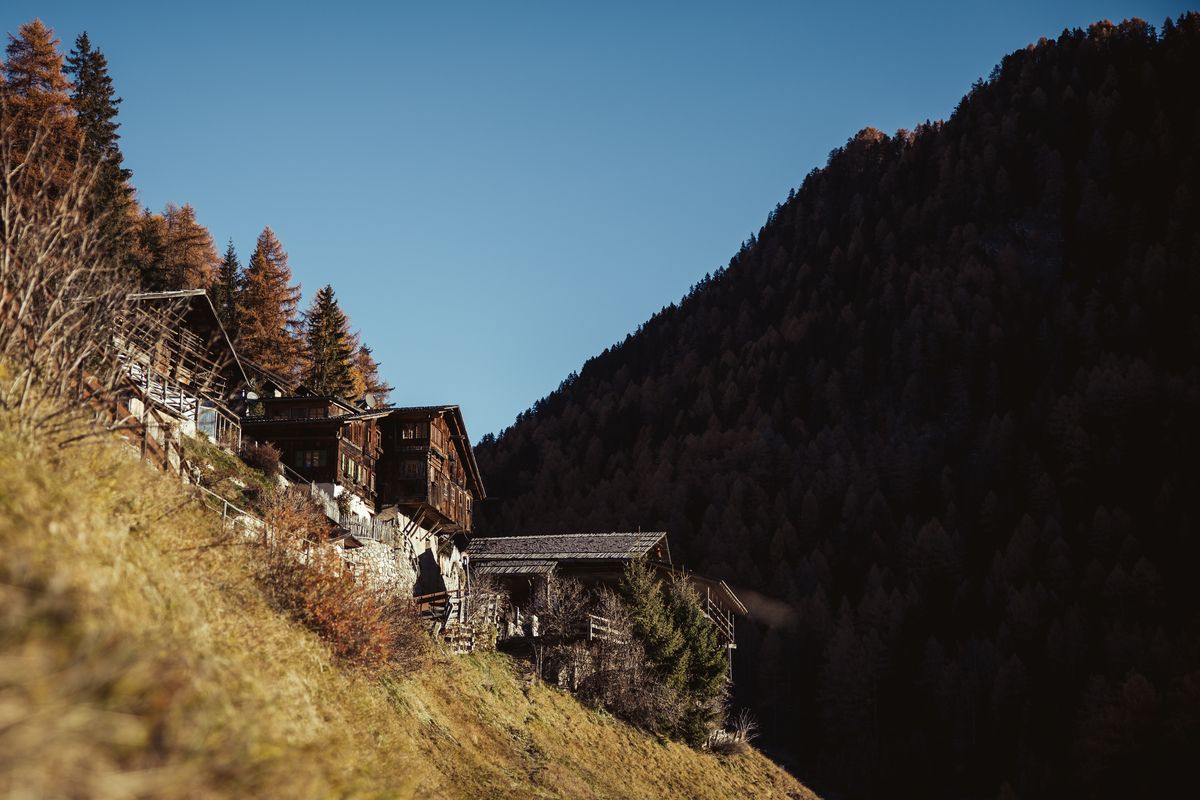 Mountain farms in autumn light