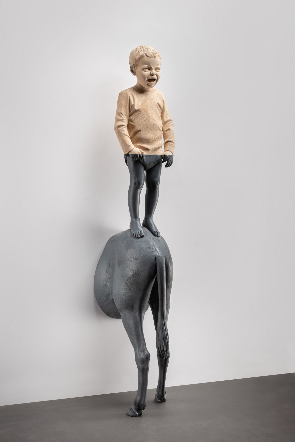 Boy standing on a horse’s body