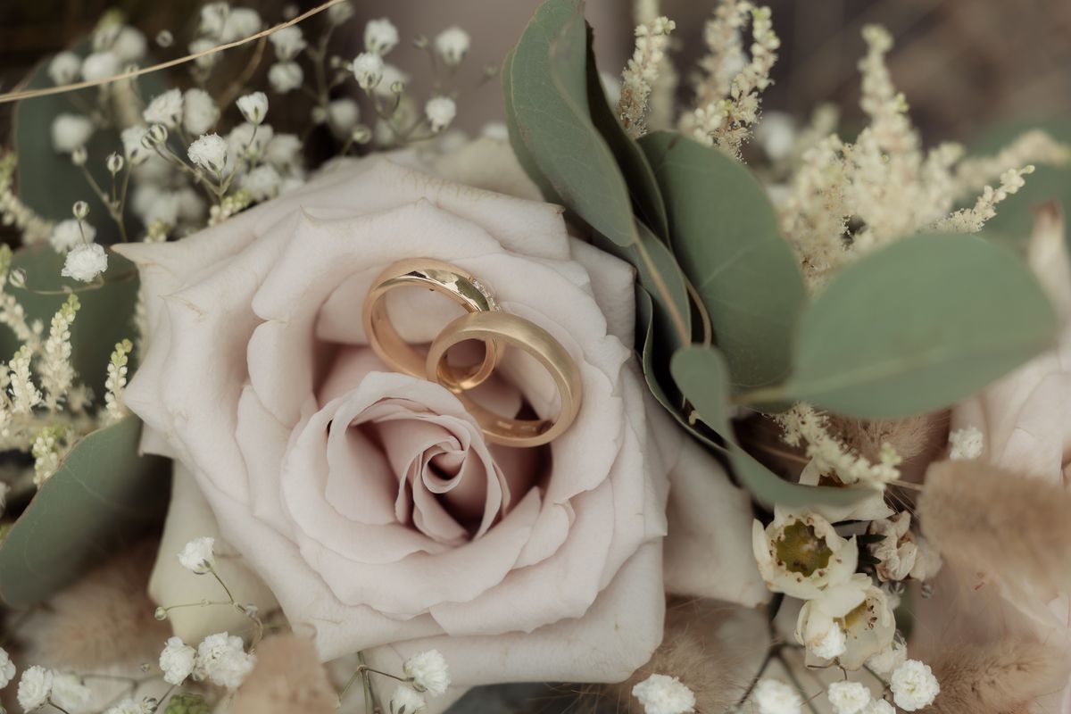 Wedding rings on a rose
